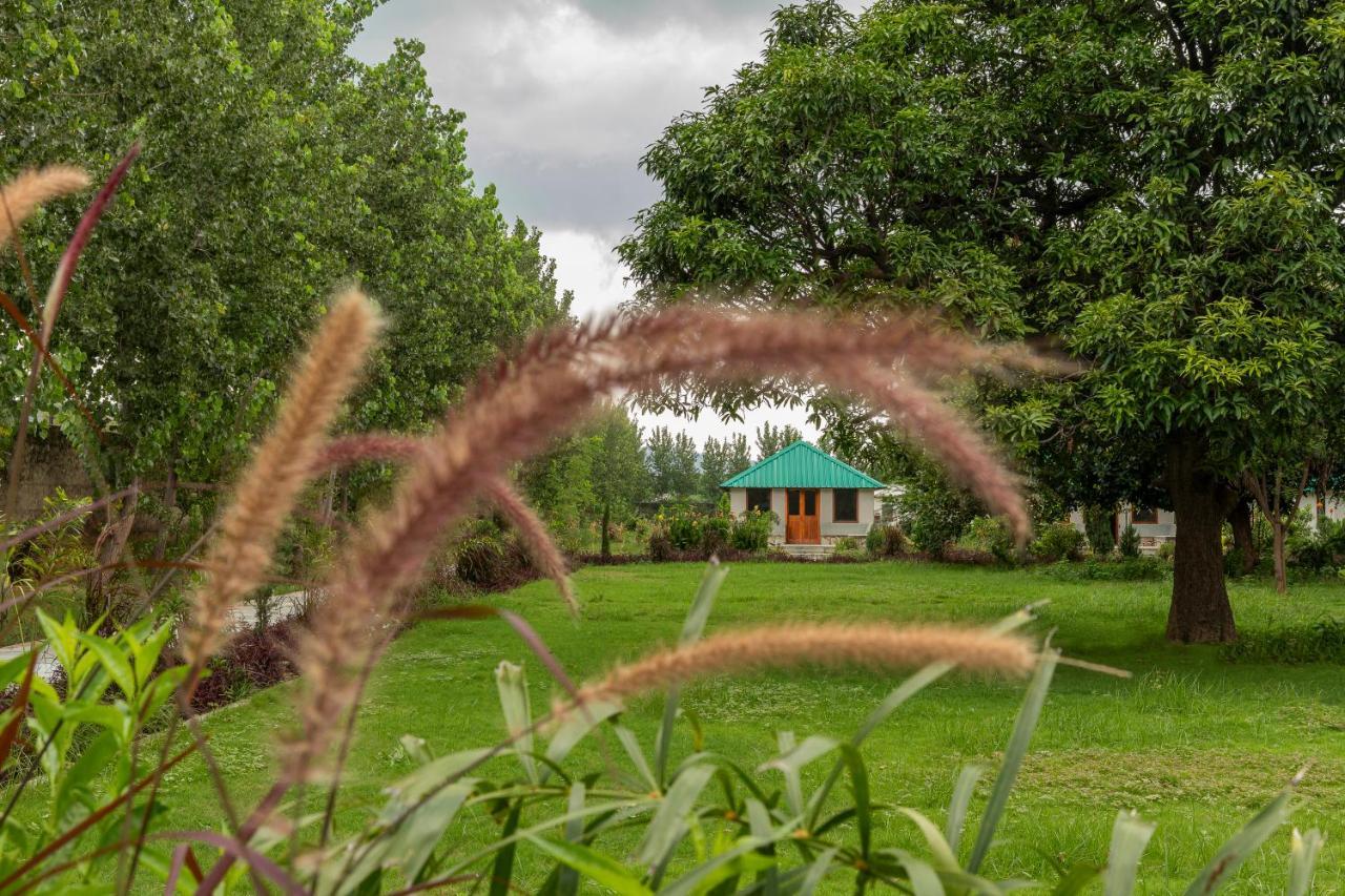 Zana Luxury Forest Resort, Ranthambore サワイ・マドプール エクステリア 写真