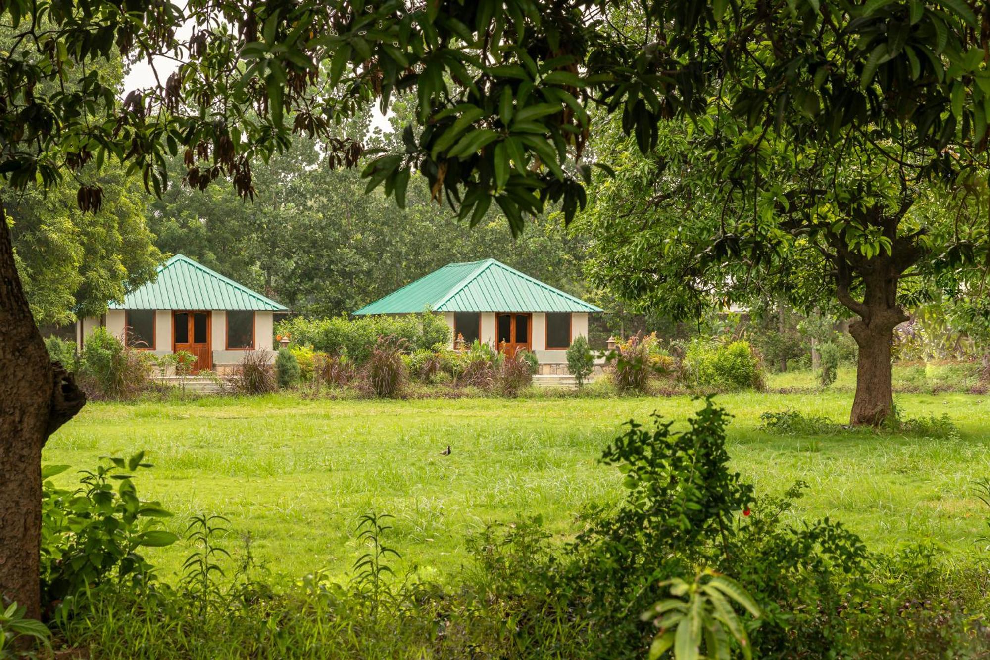 Zana Luxury Forest Resort, Ranthambore サワイ・マドプール エクステリア 写真